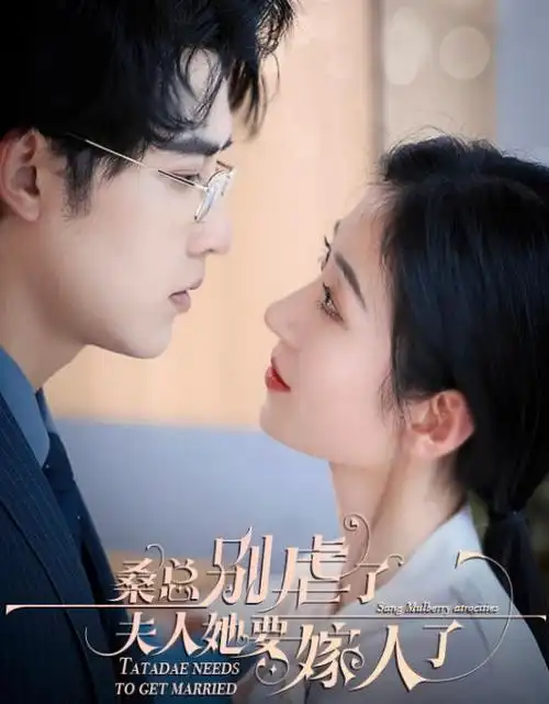 城南旧事簿热播电视剧全集在线观看